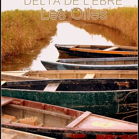 Roger's Loft Deltebre